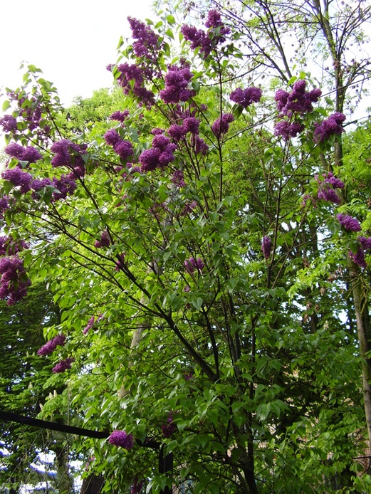 Обкладинка Доброго дня